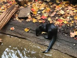 15078543_10154236615169482_4688376187101137891_n