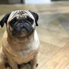 An Ode To&nbsp;Krump